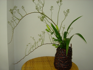 c0076141_1481090.jpg