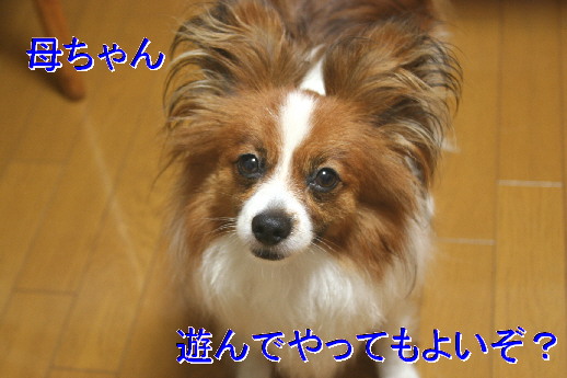 d0013149_20152291.jpg