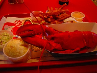 a0040554_6183460.jpg