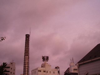 e0066554_212876.jpg