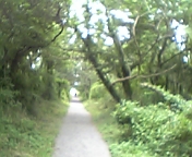 f0045956_857042.jpg