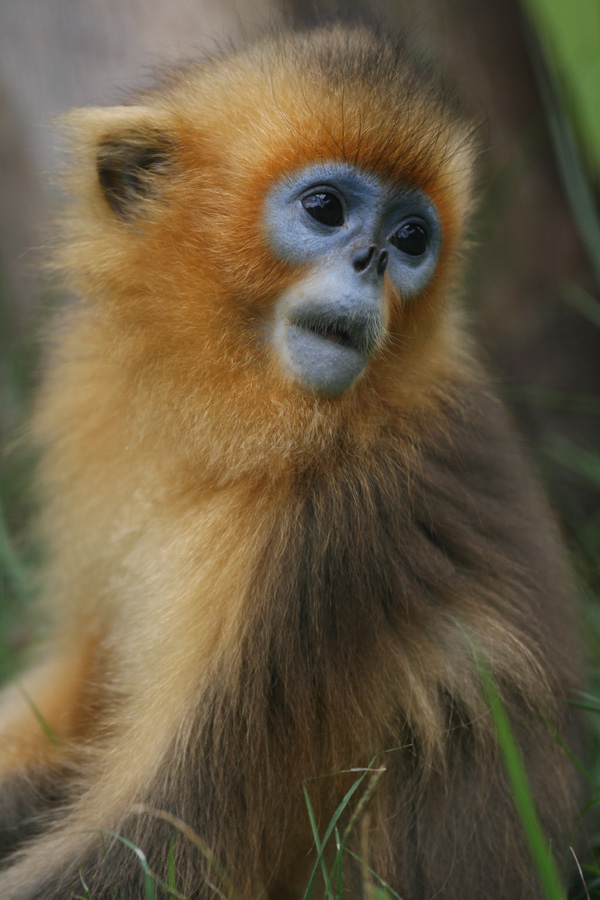 e0060169_1447534.jpg