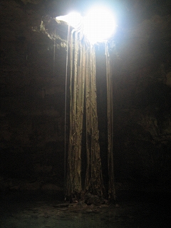 e0015270_5145797.jpg