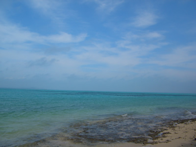 d0074578_21405368.jpg