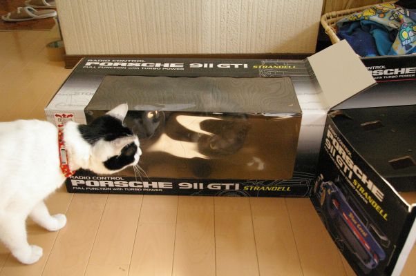 おいしそうな脚の女子校生 234脚目猫ガイジ隔離スレ [無断転載禁止]©bbspink.com	YouTube動画>1本 ->画像>4453枚 