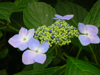 c0029190_10125856.jpg