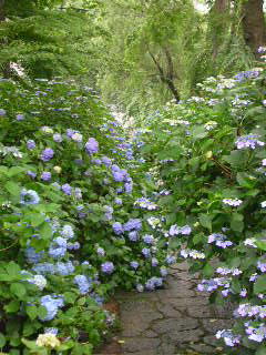 c0029190_1074322.jpg