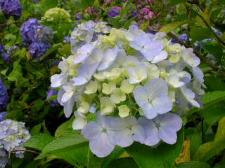 c0029190_1095136.jpg