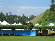 e0073791_11425788.jpg