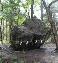 f0008692_2162223.jpg
