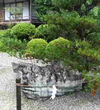 f0008692_2164296.jpg