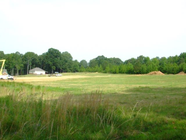 c0062603_1256084.jpg