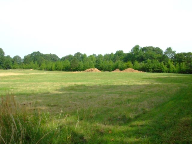 c0062603_12561963.jpg
