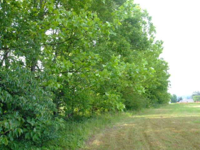 c0062603_12572443.jpg