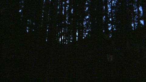 c0047906_2143890.jpg