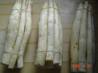 e0039206_231481.jpg