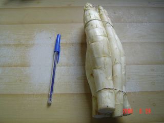 e0039206_24779.jpg