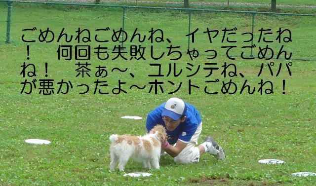a0040708_20113849.jpg