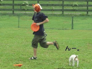 a0040708_20133823.gif