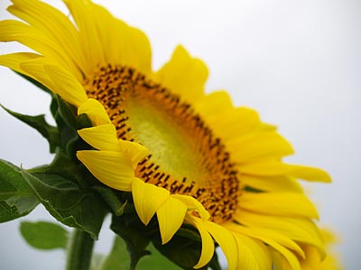 a0041508_23403175.jpg