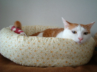 c0006312_1642465.jpg
