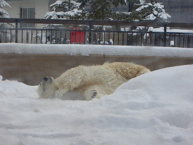 c0030112_054540.jpg