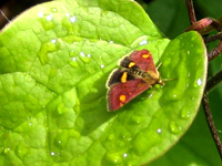 f0045624_0281726.jpg