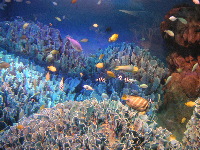 d0006126_22374757.jpg