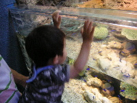 d0006126_22401420.jpg