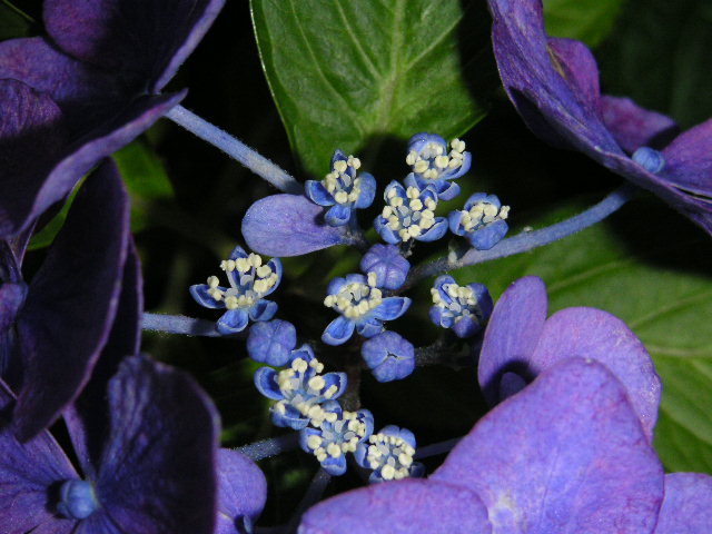 a0020929_9565475.jpg
