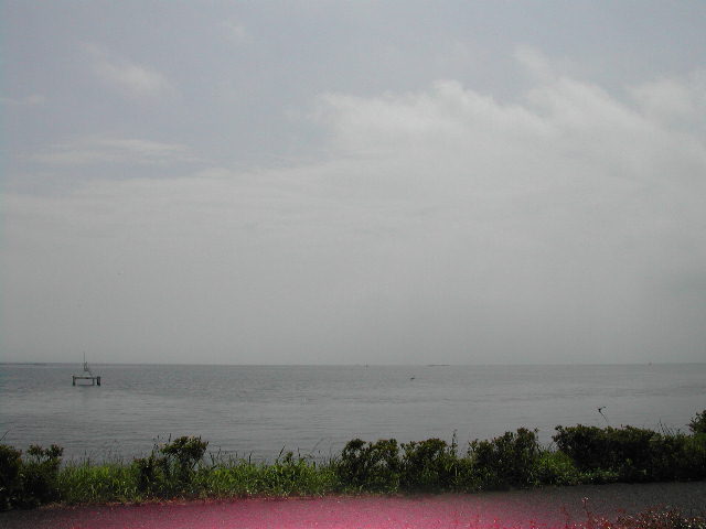 e0065830_21322991.jpg