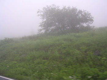 d0026341_12302934.jpg