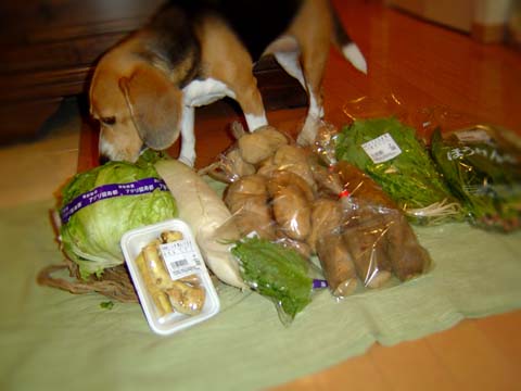 a0042044_0182221.jpg