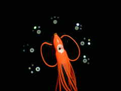 e0005548_2356121.jpg