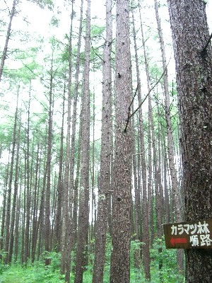 f0104057_2144324.jpg