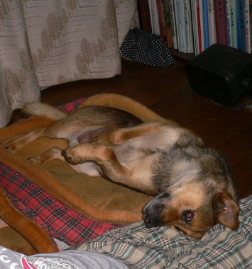 a0063364_0233666.jpg