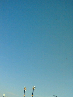 d0063767_3395331.jpg