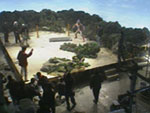 d0037669_0242545.jpg