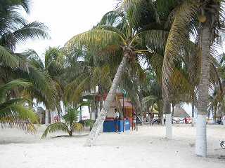 e0015270_1063444.jpg