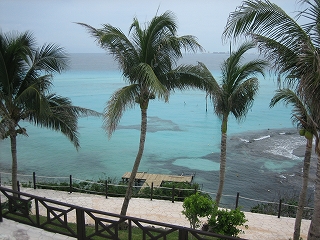 e0015270_11175851.jpg