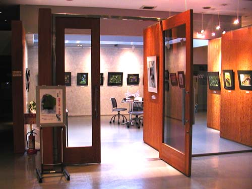 f0092382_1236938.jpg