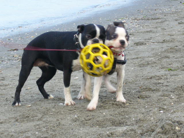 d0070702_2037072.jpg