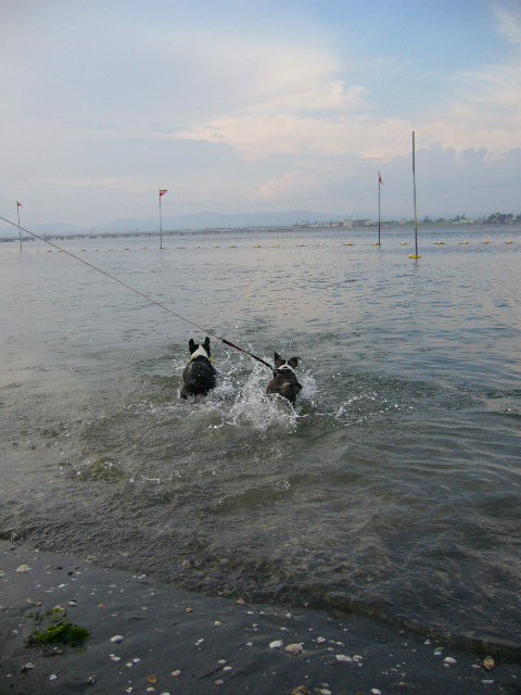 d0070702_20445821.jpg