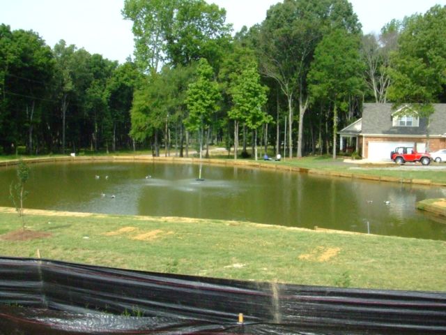 c0062603_13133363.jpg