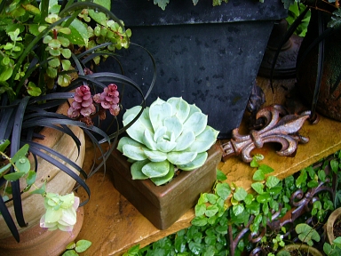 f0065604_215223100.jpg