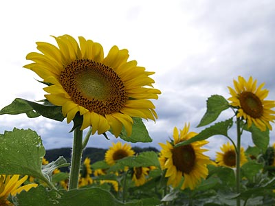 a0041508_23481574.jpg