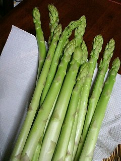 e0026017_1832824.jpg