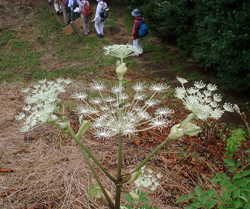 f0060424_2295131.jpg