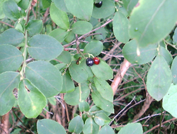 f0060424_23144120.jpg