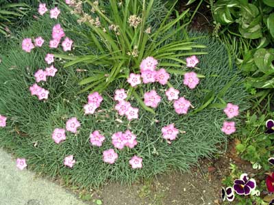c0068639_17503353.jpg